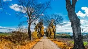 Piękna mazurska złota jesień, listopad 2019 - zdjęcie 38