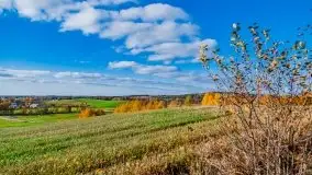 Piękna mazurska złota jesień, listopad 2019 - zdjęcie 14