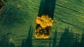 Mazurska jesień z lotu mewy, listopad 2020 r. - zdjęcie 39