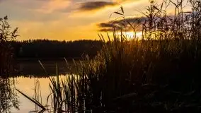 Jesień w okolicach jeziora Okrągłe, listopad 2020 - zdjęcie 18