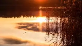 Jesień w okolicach jeziora Okrągłe, listopad 2020 - zdjęcie 20