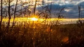 Jesień w okolicach jeziora Okrągłe, listopad 2020 - zdjęcie 28