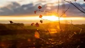 Jesień w okolicach jeziora Okrągłe, listopad 2020 - zdjęcie 26