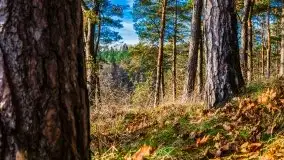 Jesienne Mazury, okolice jezior Niegocin i wojnowo - zdjęcie 23