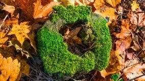 Jesienne Mazury, okolice jezior Niegocin i wojnowo - zdjęcie 28