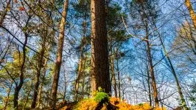 Jesienne Mazury, okolice jezior Niegocin i wojnowo - zdjęcie 19