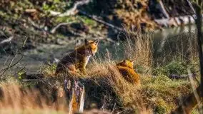 Jesienne Mazury na zdjęciach Staszka Sielewicza - zdjęcie 18