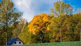 Jesienne Mazury na zdjęciach Staszka Sielewicza - zdjęcie 25