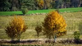Jesienne Mazury na zdjęciach Staszka Sielewicza - zdjęcie 28