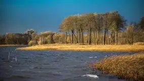 Jesienne Mazury na zdjęciach Staszka Sielewicza - zdjęcie 27