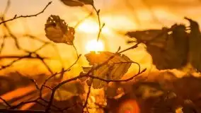 Zachód słońca i resztki jesieni nad jeziorem Ołów - zdjęcie 9