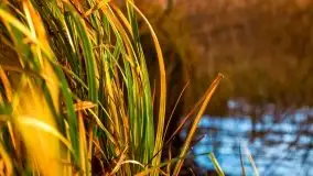 Zachód słońca i resztki jesieni nad jeziorem Ołów - zdjęcie 5