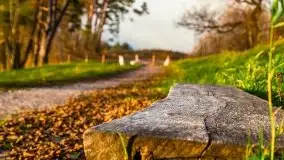 Zachód słońca i resztki jesieni nad jeziorem Ołów - zdjęcie 16