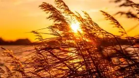 Zachód słońca i resztki jesieni nad jeziorem Ołów - zdjęcie 3