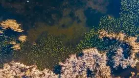 Jesień z lotu ptaka przy jeziorze Tałtowisko i kanale Grunwaldzkim - zdjęcie 31