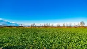 Listopadowe klimaty na bezdrożach Mazur - zdjęcie 22