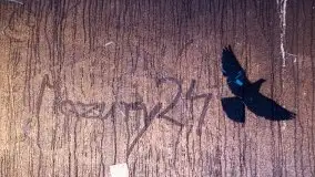 Nocne listopadowe kolory Giżycka - zdjęcie 18