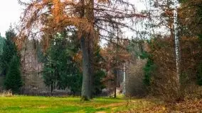 Leśne klimaty w okolicach Wydmin - zdjęcie 12