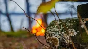 Miał być zachód słońca, a skończyło się na ognisku - zdjęcie 18