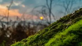 Wschód słońca przy moście Sztynorckim i jeziorze Dargin - zdjęcie 38