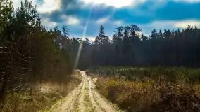 Krutynia i Nowy Mostek w grudniowych zdjęciach - zdjęcie 4