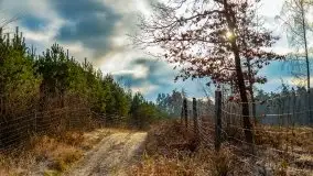 Krutynia i Nowy Mostek w grudniowych zdjęciach - zdjęcie 30