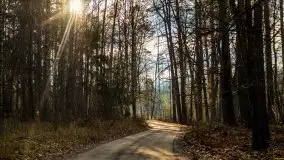 Krutynia i Nowy Mostek w grudniowych zdjęciach - zdjęcie 5