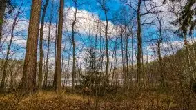 Krutynia i Nowy Mostek w grudniowych zdjęciach - zdjęcie 17