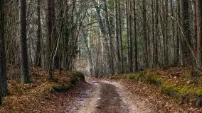 Krutynia i Nowy Mostek w grudniowych zdjęciach - zdjęcie 31