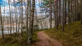 Krutynia i Nowy Mostek w grudniowych zdjęciach - zdjęcie 12