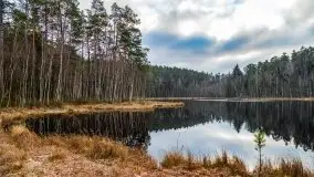 Krutynia i Nowy Mostek w grudniowych zdjęciach - zdjęcie 46