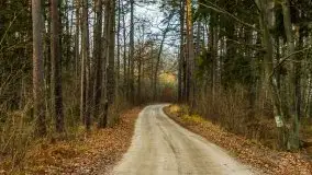 Krutynia i Nowy Mostek w grudniowych zdjęciach - zdjęcie 52