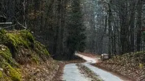 Krutynia i Nowy Mostek w grudniowych zdjęciach - zdjęcie 57