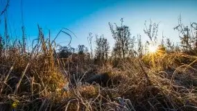 Grudniowe Mazury na zdjęciach Stanisława Sielewicza - zdjęcie 14