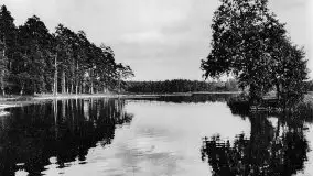 Przedwojenne zdjęcia Rucianego Nidy (Rudczanny, Niedersee) - zdjęcie 152