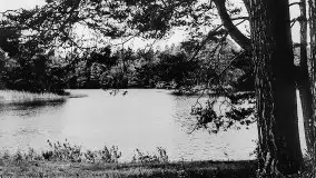 Przedwojenne zdjęcia Rucianego Nidy (Rudczanny, Niedersee) - zdjęcie 68