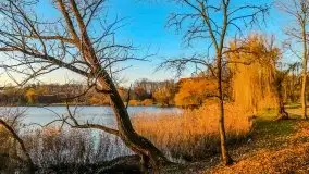 Grudniowy zachód słońca w Kętrzynie, 2020 - zdjęcie 4