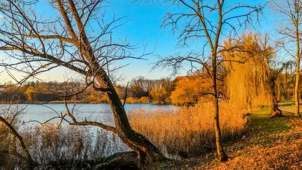 Grudniowy zachód słońca w Kętrzynie, 2020 - zdjęcie 4