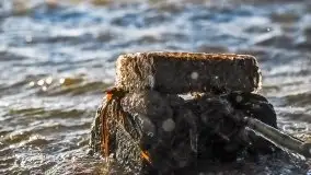 Wietrzne i jesienne jezioro Śniardwy, grudzień 2020 r. - zdjęcie 31