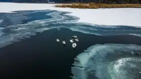 Zimowe i pochmurne kolory Mazur w okolicach Kruklanek - zdjęcie 47