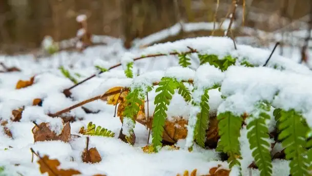 Zimowe i pochmurne kolory Mazur w okolicach Kruklanek - zdjęcie 8