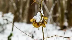 Zimowe i pochmurne kolory Mazur w okolicach Kruklanek - zdjęcie 18