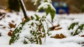 Zimowe i pochmurne kolory Mazur w okolicach Kruklanek - zdjęcie 2