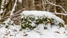 Zimowe i pochmurne kolory Mazur w okolicach Kruklanek - zdjęcie 12