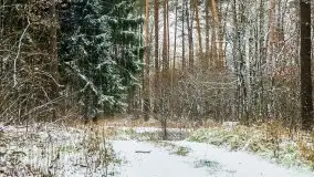 Zimowe i pochmurne kolory Mazur w okolicach Kruklanek - zdjęcie 32