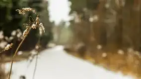 Zimowe i pochmurne kolory Mazur w okolicach Kruklanek - zdjęcie 20