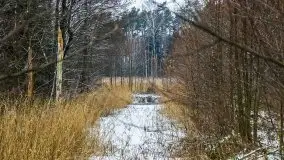 Zimowe i pochmurne kolory Mazur w okolicach Kruklanek - zdjęcie 28