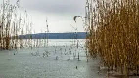 Zimowe i pochmurne kolory Mazur w okolicach Kruklanek - zdjęcie 15