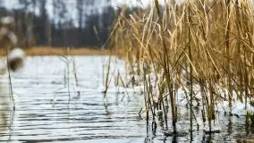 Zimowe i pochmurne kolory Mazur w okolicach Kruklanek - zdjęcie 45