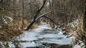 Zimowe i pochmurne kolory Mazur w okolicach Kruklanek - zdjęcie 56